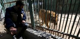 20160307135134reup--2016-03-07t135003z_726214042_gf10000336623_rtrmadp_3_palestinians-gaza-zoo_h