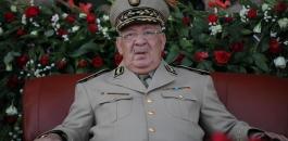 قائد الجيش الجزائري وتبون 