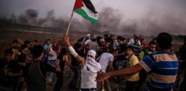 dqevd-jpg-20221907855215297