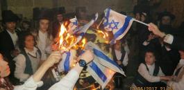 يهود الحريدم يحرقون العلم الاسرائيلي 