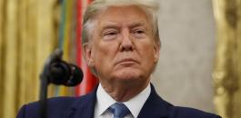 13337c96-27c0-463d-a664-33b6ce4ac4a5