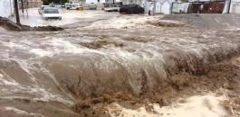 02082825064281336777217373803052