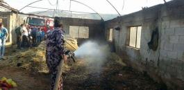 نفوق 5000 طير دجاج بحريق في مزرعة بقرية رابا شرق جنين
