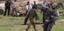 3642794170-jpg-41781096618653528