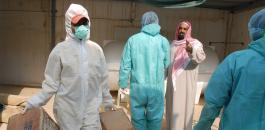 السعودية وانفلونزا الطيور 
