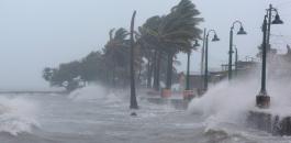 اعصار فلوريدا 