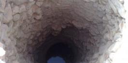 image (2)