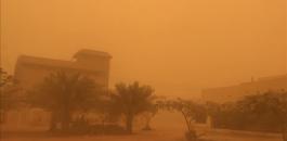 عاصفة التنين في مصر 