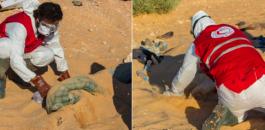 العثور على جثث مصريين في صحراء ليبيا 