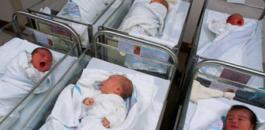 إحصائية: 4140 مولودًا جديدًا في قطاع غزة و6 مواليد كل ساعة
