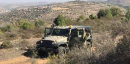مستوطنون يسرقون أشجار زيتون في نابلس ورام الله وقلقيلية 