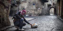 33030-war-cat-street-gun-Aleppo-Syria