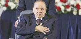 17773548011552297255