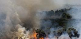مستوطنون يشعلون النيران في أراضي في صفا