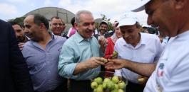 19636c78-ff3a-4cc6-9d11-1ab44a401478-1567525087