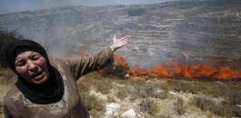 مستوطنون يحرقون مساحات شاسعة من أراضي قرية بورين