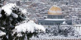 فصل الشتاء في فلسطين 
