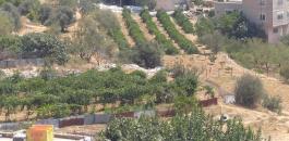 مصادرة اراضي في بيت امر بالخليل 