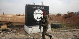 القضاء على داعش في الموصل 