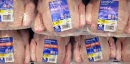 اسعار الدجاج في الضفة الغربية 