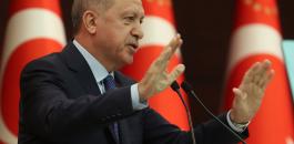 اردوغان وتركيا 