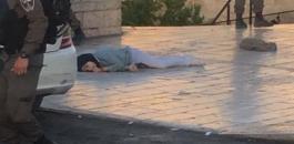 اعدام الطفلة الفلسطيني فاطمة حجيجي 