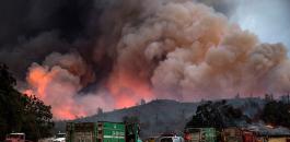 خسائر حرائق كاليفورنيا تتجاوز مليار دولار