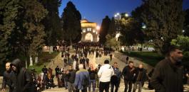 88169104_3734613853279694_6658928170575593472_n