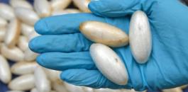 cocaine-mules-504x362