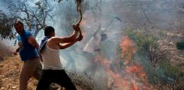 مستوطنون يشعلون النيران في  اراضي المواطنين بحوارة 