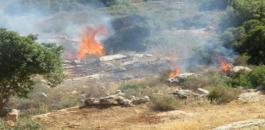 المستوطنون يحرقون اراضي المواطنين في رام الله 