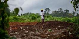 مصرع أكثر من 200 شخص جراء السيول في سيراليون