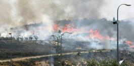 مستوطنون يحرقون اراضي المواطنين في الخليل 