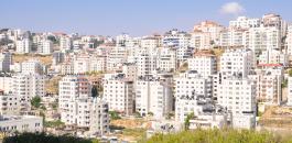 بناء المنازل في فلسطين 