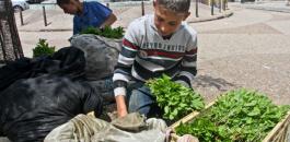ظاهرة تشغيل الاطفال في فلسطين 