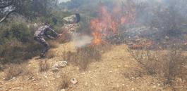 السيطرة على حريق طال 150 شجرة زيتون في يعبد بجنين