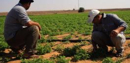 صرف تعويضات للمزارعين الفلسطينيين 