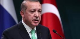 تركيا: سنواصل دعم القضية الفلسطينية حتى لو بقينا وحدنا