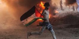 الشهداء الفلسطينيين في غزة والضفة الغربية 