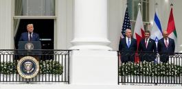 thumbs_b_c_3c35721dc3725e1e316db54b357313a8