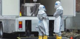 11173741365073727555905407047071