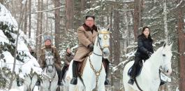 الزعيم الكوري الشمالي والفرس الأبيض 