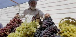 thumbs_b_c_4a1b42064f172e7144ed8370bfceb480