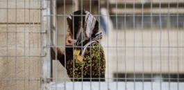 0b1b8469181239eb589e6955613c55cf