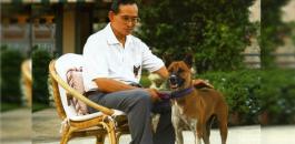 انتقاد كلبة الملك في تايلند يقودك للسجن