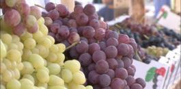 03091042470296301242782762107521