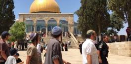 c27d99ed6f7bdc266df36b0bc432161d