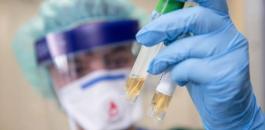 52556516-303-jpg-12065018330951484