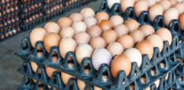 اغلاق محل تجاري رفع سعر البيض في نابلس 