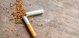 Tobacco334
